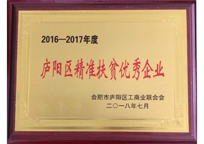 安徽鼎鑫投資集團榮獲2016-2017年度廬陽區精準扶貧優秀企業稱號