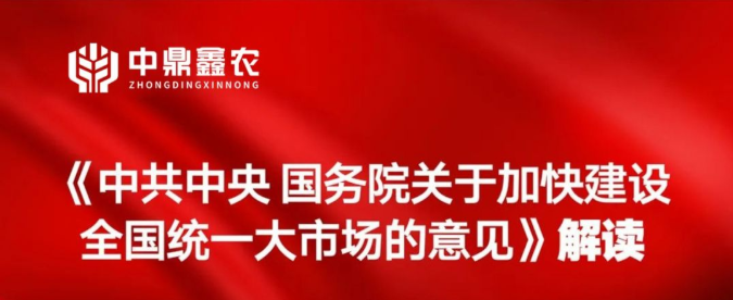 《中共中央 國務院關于加快建設全國統一大市場的意見》解讀